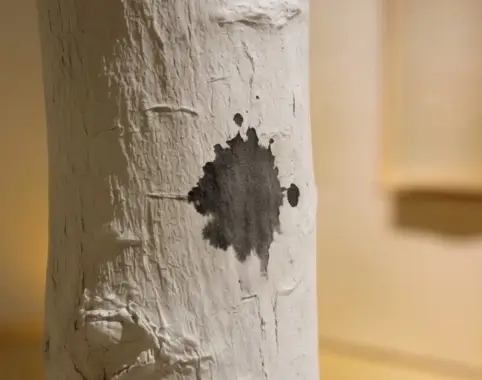 mancha arbol Genealogia documentada